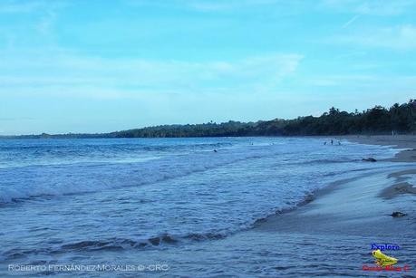 Playa Cocles de Limón