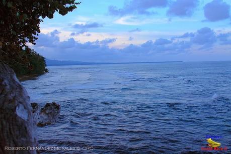 Playa Cocles de Limón