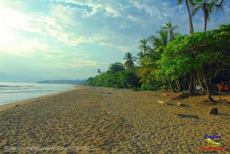 Playa Cocles de Limón