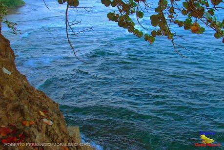 Playa Cocles de Limón