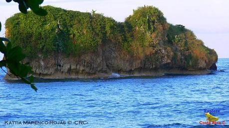 Playa Cocles de Limón