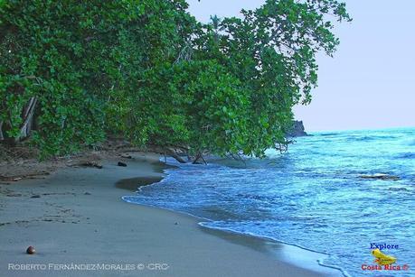 Playa Cocles de Limón