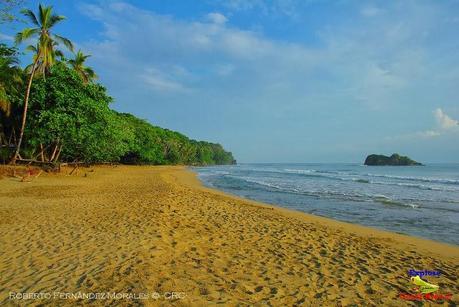 Playa Cocles de Limón