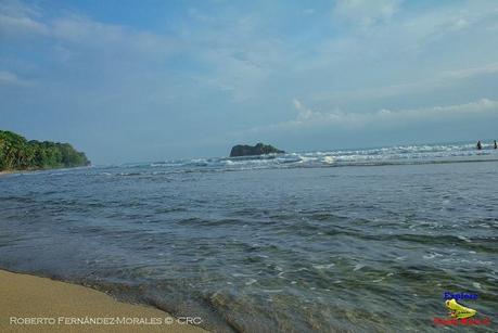 Playa Cocles de Limón