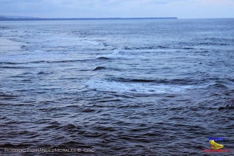 Playa Cocles de Limón