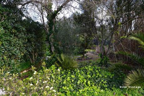 El jardin en invierno