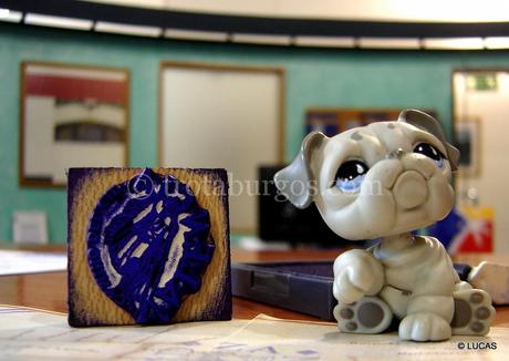 DÍA 10: MONTANEJOS – VALENCIA