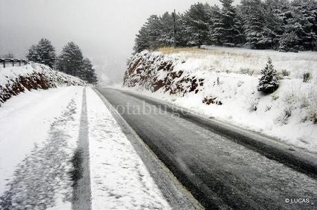 DÍA 8: NOGUERUELAS – CULLA