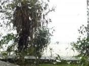 ¿por motivos buscáis cambiar puesto pesar tener trabajo?