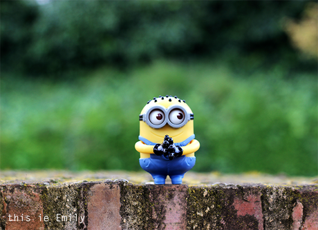 Objetivo Canon 50 EF f1.8 II