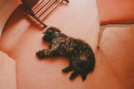 La boda de Marta y Jerome