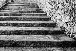 La visita - Mariana Graciano