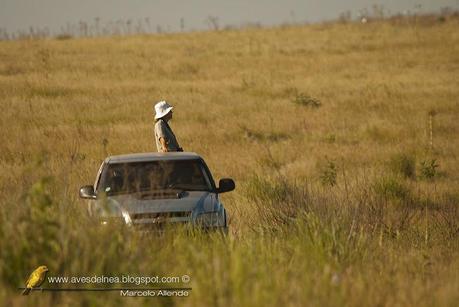 Observando aves en la Estancia Virocay