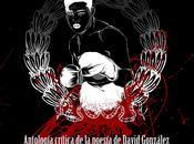 lenguaje puños (Antología crítica poesía David González), idea poema: