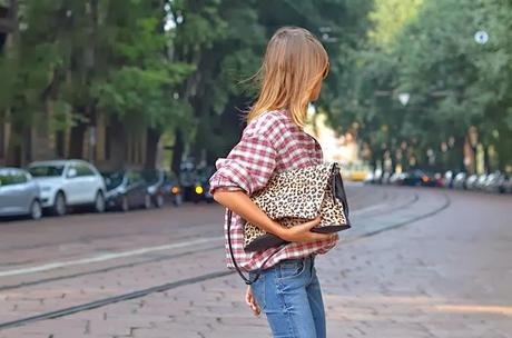 Descubriendo a The Petticoat