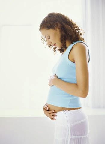 PRIMER TRIMESTRE DEL EMBARAZO PRIMER TRIMESTRE DEL EMBARAZO