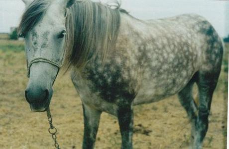 Nos jugaremos la vida en el próximo túnel VOL. 1