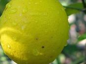 Cura caspa naturalmente