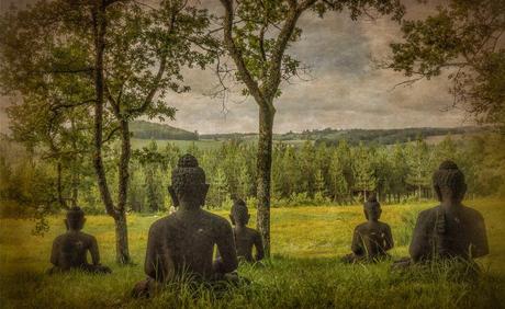 La posibilidad de despertar