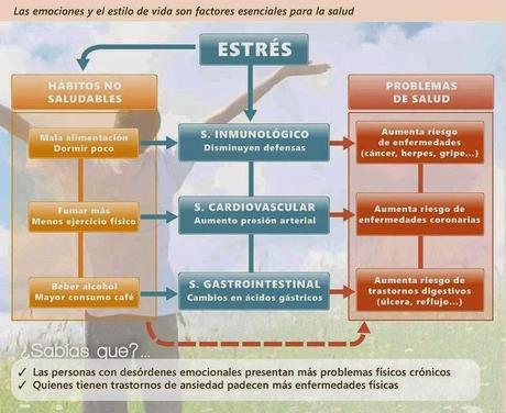 Magnesio ¿la píldora anti estrés?