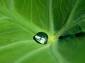 minimalismo mismo simplicidad?