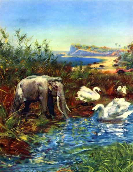 ZOOBOOKS: Antepasados de los elefantes