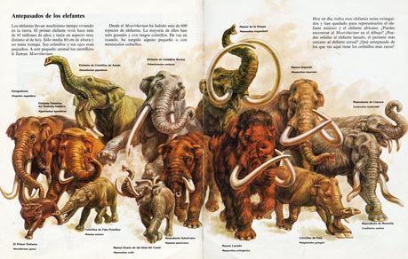 ZOOBOOKS: Antepasados de los elefantes