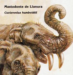 ZOOBOOKS: Antepasados de los elefantes