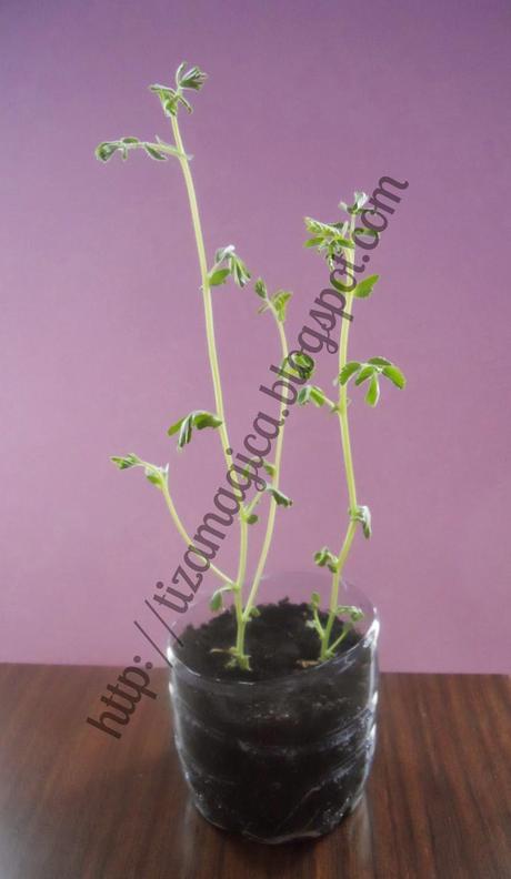 Cosas que todos hemos hecho esto en el colegio