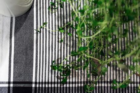 UN APARTAMENTO NORDICO CON PINCELADAS CARIBEÑAS.