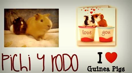 RETO LIGHT #1: Mi animal favorito