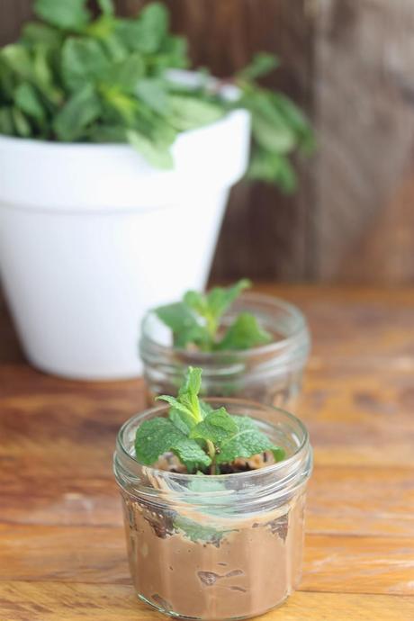 Mini macetas de chocolate