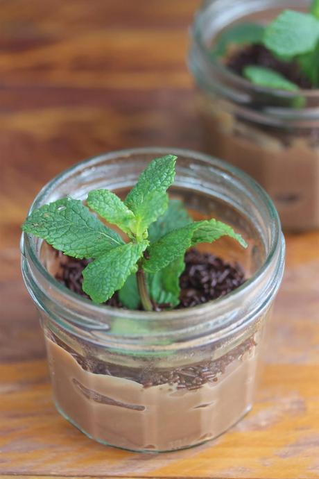 Mini macetas de chocolate