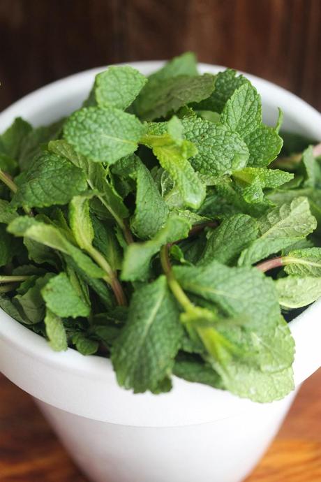 Mini macetas de chocolate