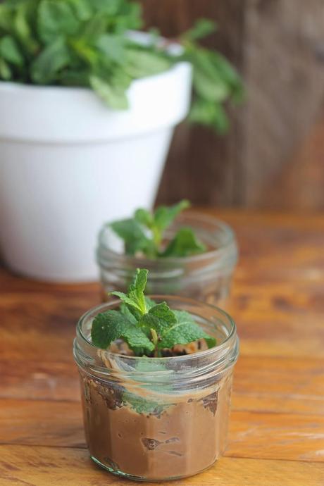 Mini macetas de chocolate