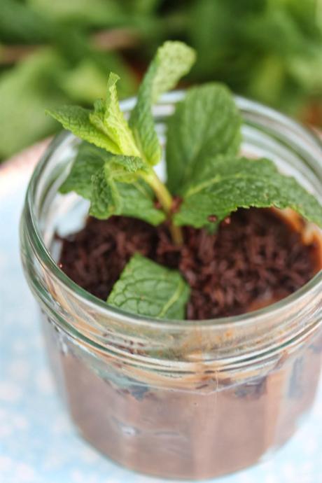 Mini macetas de chocolate