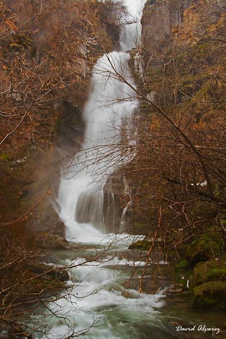 Invierno y gatos monteses en las montañas de Laciana