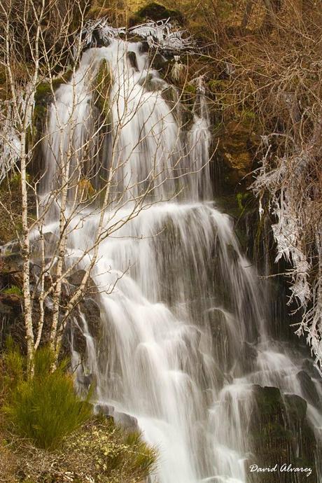 Invierno y gatos monteses en las montañas de Laciana