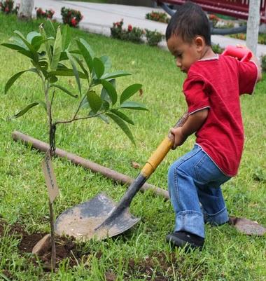LIMA PROVINCIAS SUPERO META DE REFORESTACION…