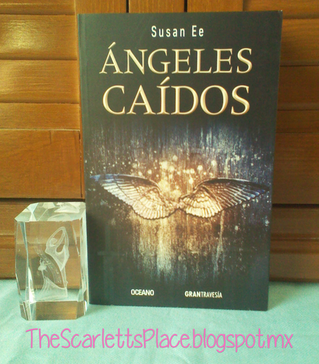 IMM #VI... ¡El primero del 2014! [Enero]