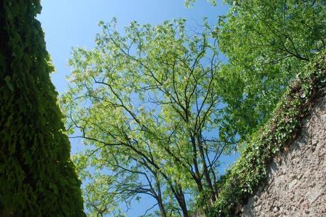 ¿Que pide la vida que haga yo, ahora? (Girona, mayo 2010) ¿QUÉ ESPERA LA VIDA DE MÍ, AHORA? (I)