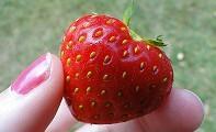 Fresa con forma de corazón.