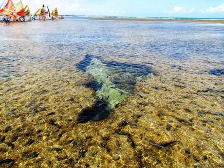 Piletas naturales. Porto de Galinhas. Pernambuco