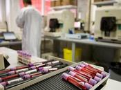 ¿Qué hace falta Brasil para Mundial?