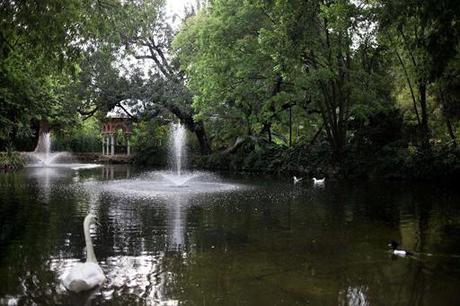 Parque-de-Maria-Luisa RECOMENDACIONES FIN DE SEMANA (21-23 FEBRERO) SEVILLA