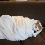 Practicar estando enfermo