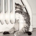 Guía imprescindible para saber cómo calentar la voz