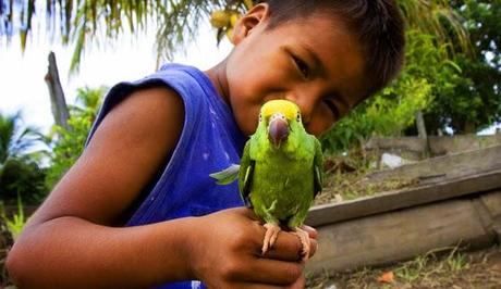 ESPECTÁCULOS DE LA NATURALEZA