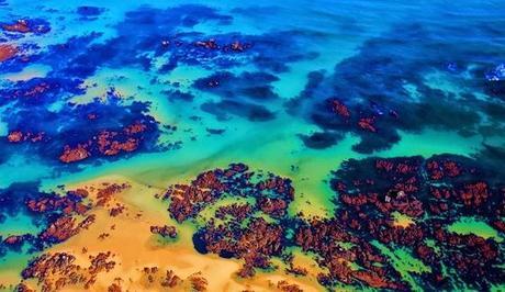 DIEZ MIL METROS, DIEZ MIL KILÓMETROS