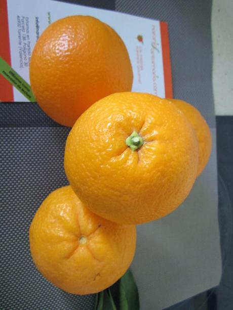 NARANJAS SANTAMARÍA